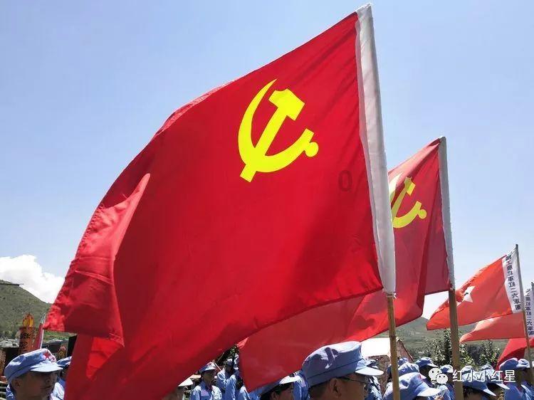 小猫钓鱼游戏龙王版有船