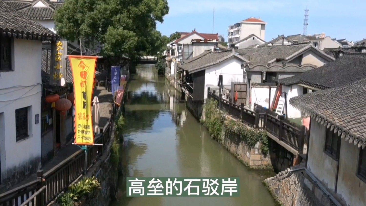 放飞笼中鸟
